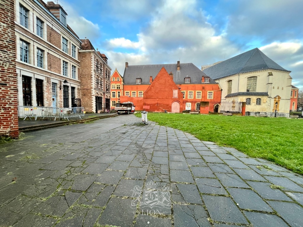 Vieux lille appartement de type 3 avec terrasse Photo 10 - Le Lion Immobilier