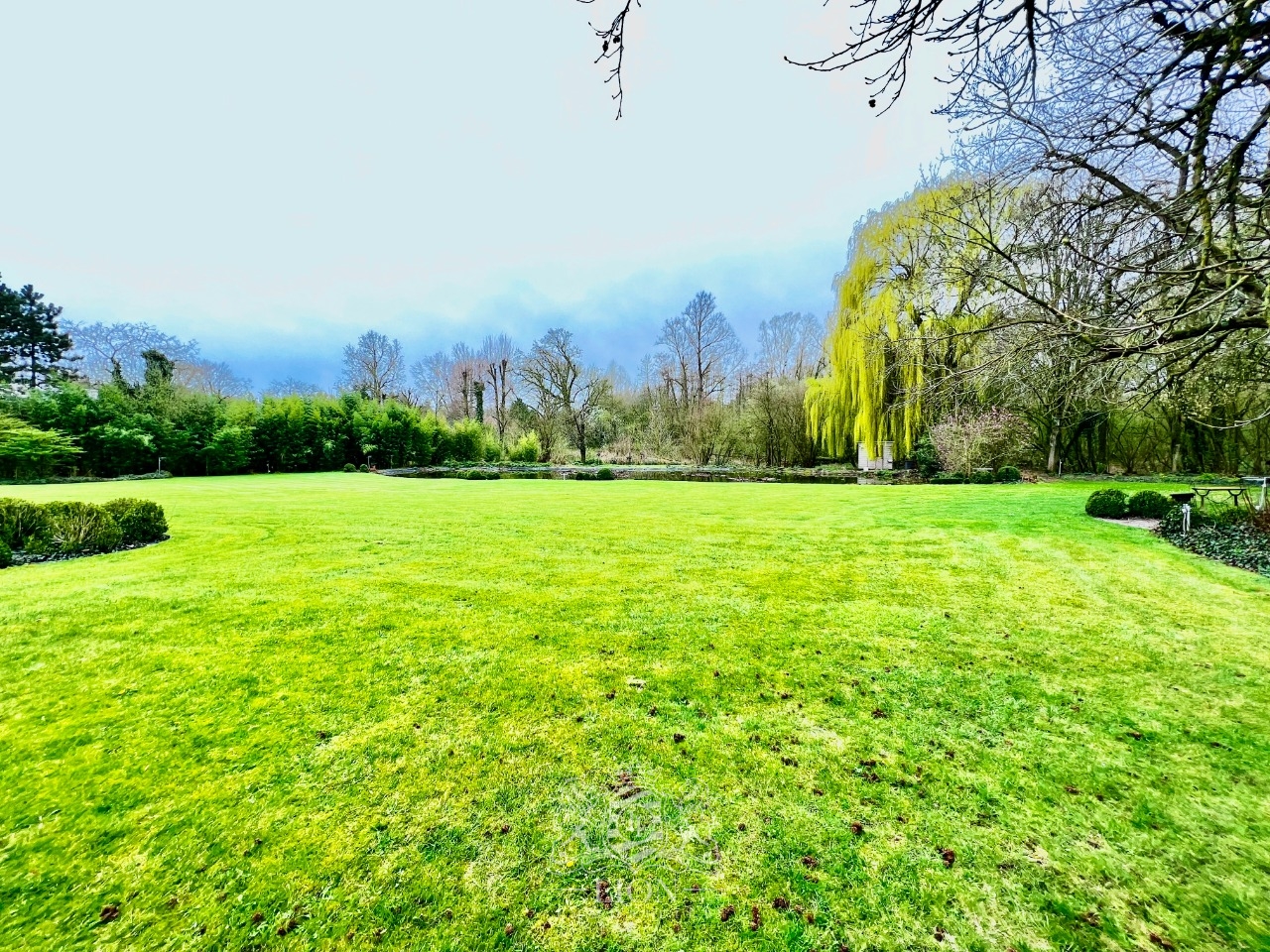 Terrain constructible de plus de 1585m2 viabilise Photo 1 - Le Lion Immobilier