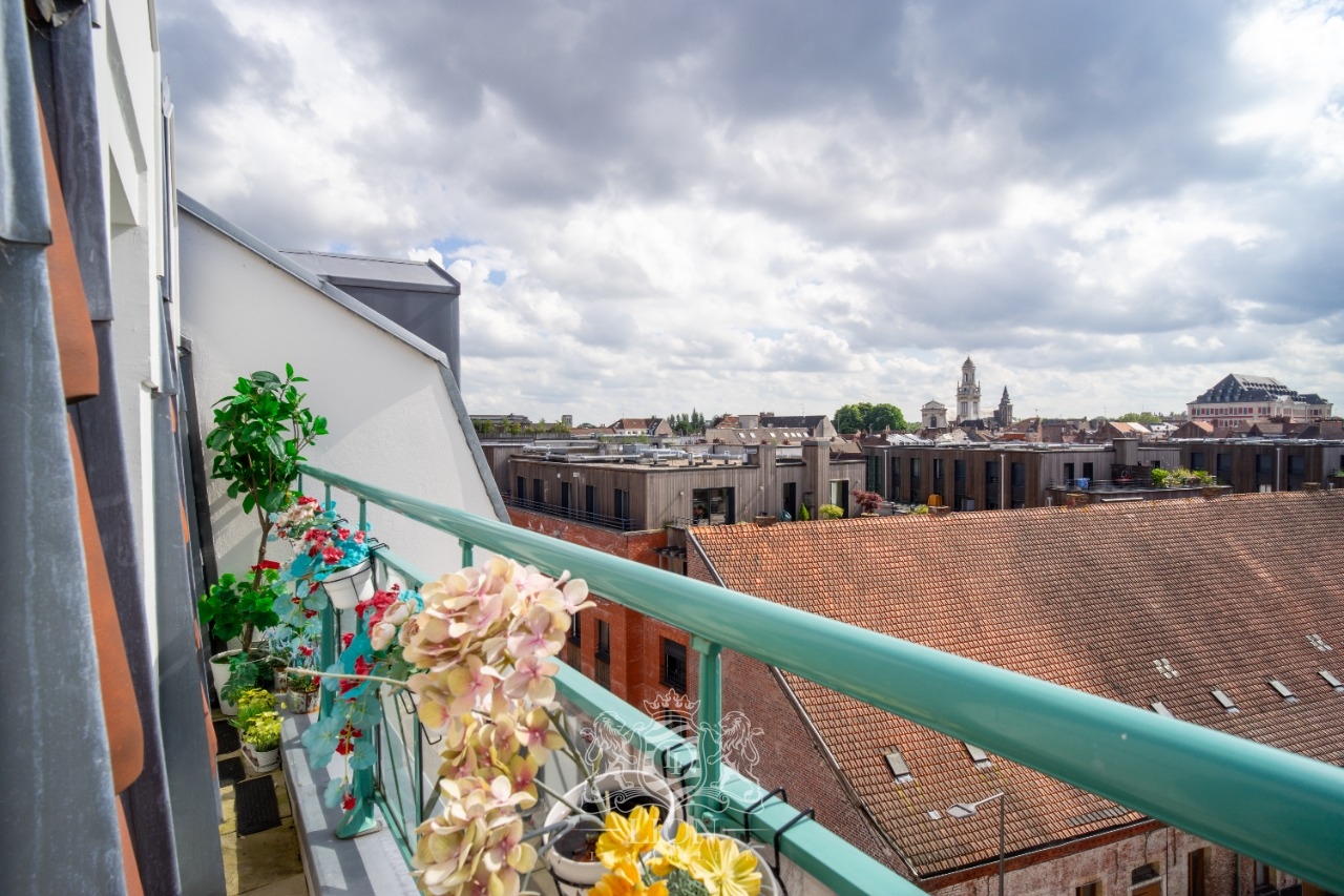 T3 en dernier etage avec garage et cave vieux lille Photo 2 - Le Lion Immobilier