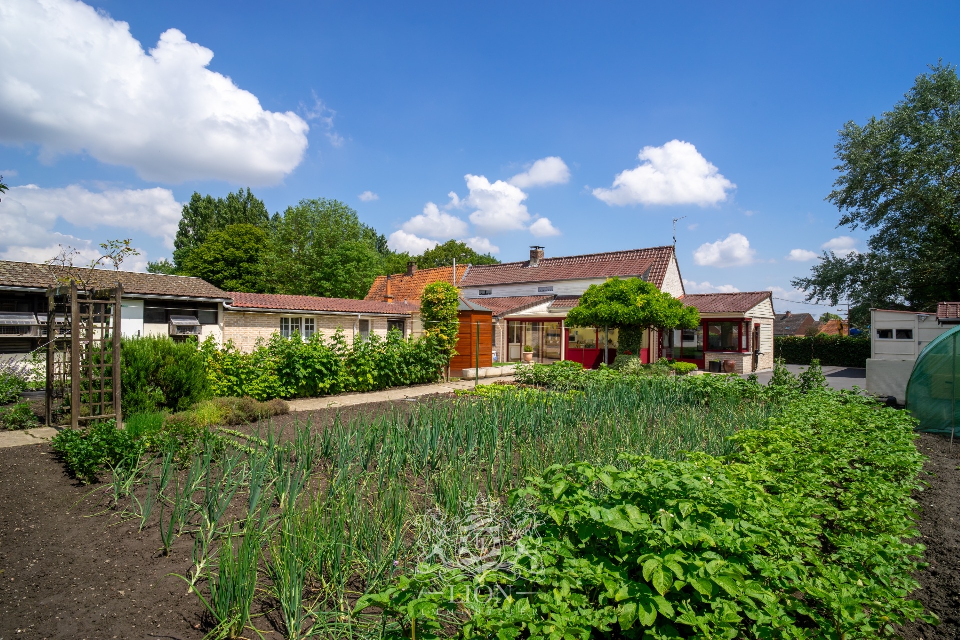 Willems grande  maison familiale  140 m  deux garages Photo 2 - Le Lion Immobilier