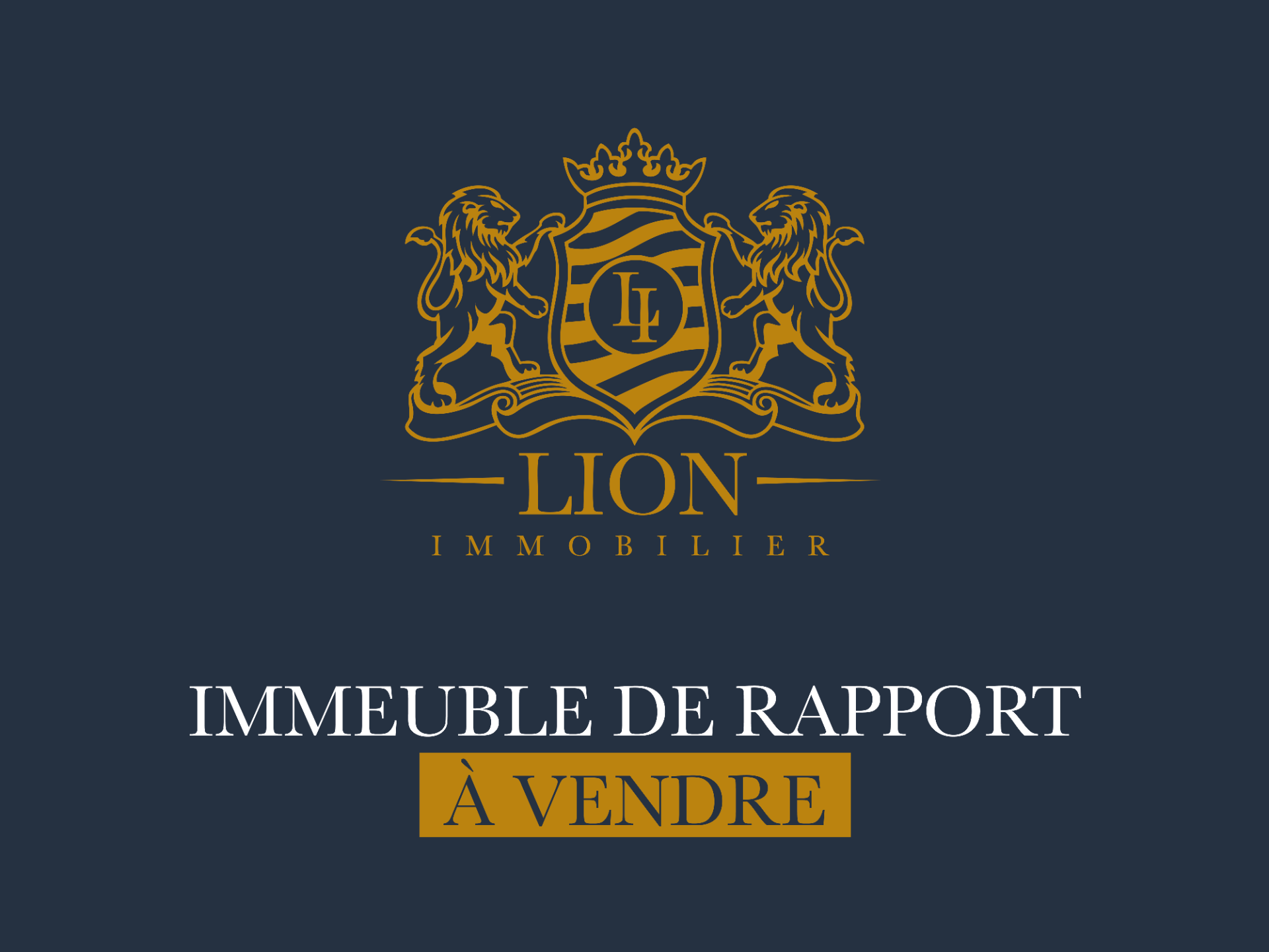 Ensemble immobilier  operation commerciale ou patrimoine Photo 1 - Le Lion Immobilier