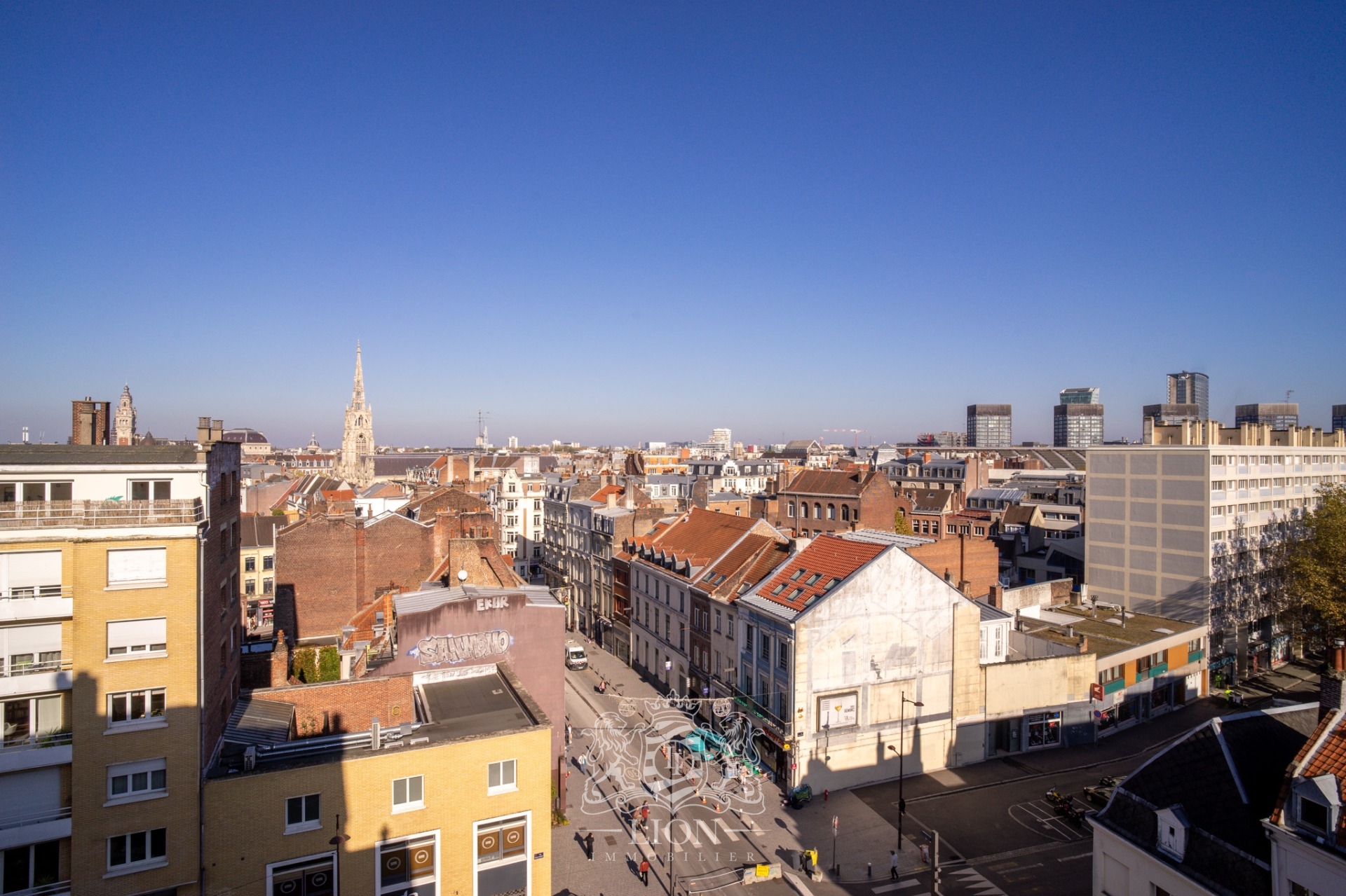 Lille centre avec parking Photo 7 - Le Lion Immobilier