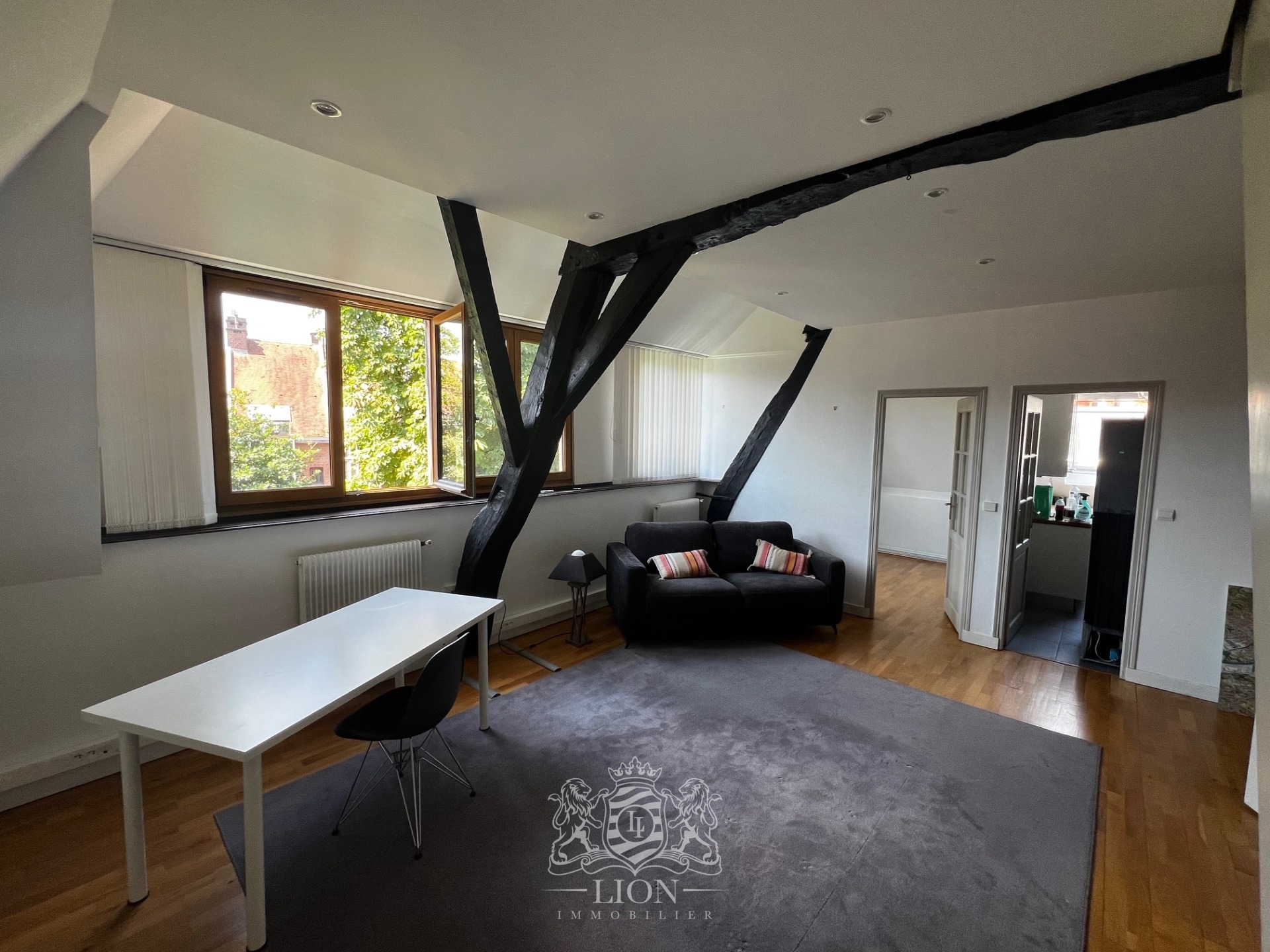 Appartement vieux lille t3 Photo 2 - Le Lion Immobilier